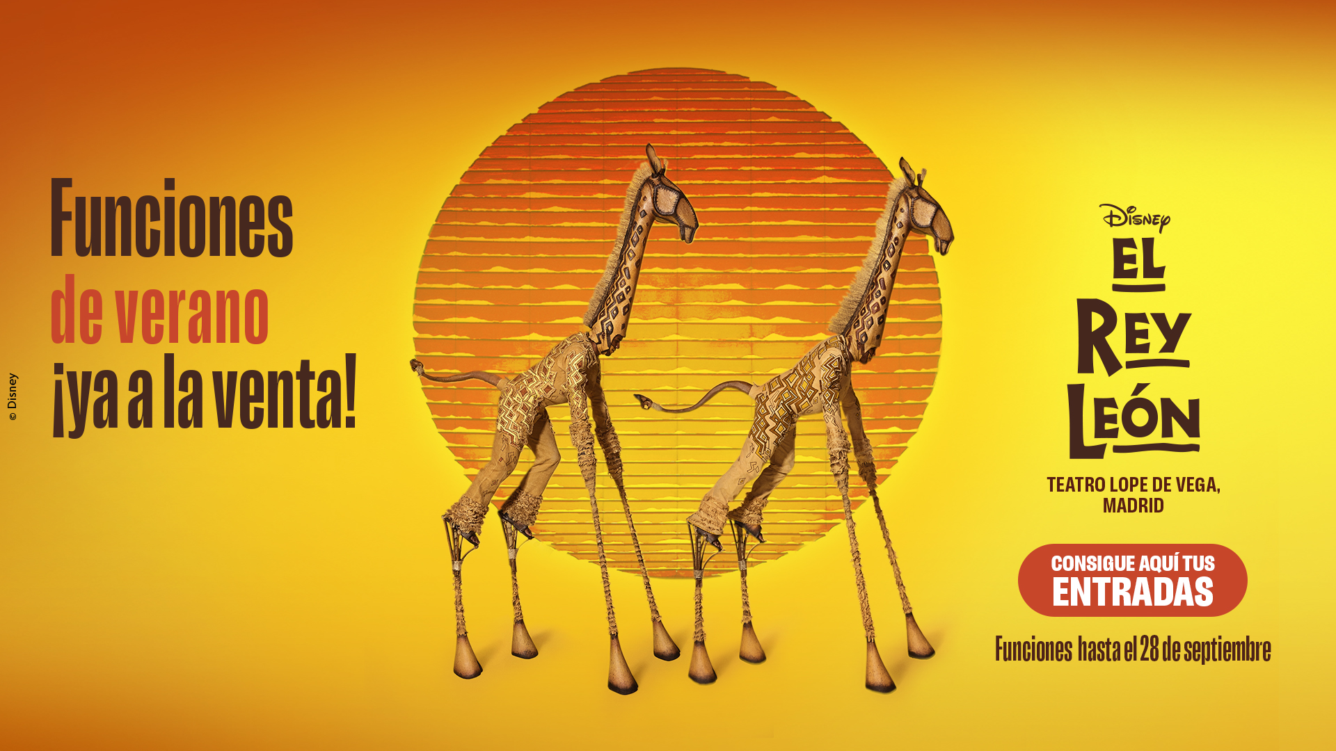 Salida a la Venta El Rey León hasta el 28 de Septiembre
